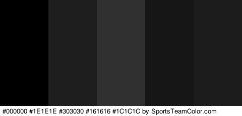 #000000 #1E1E1E #303030 #161616 #1C1C1C Colors