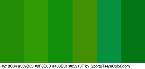 #218C04 #309B03 #0F8E0B #438E01 #05913F #007513 Colors