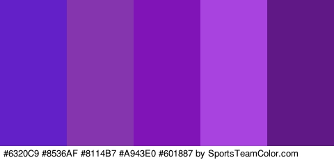 #6320C9 #8536AF #8114B7 #A943E0 #601887 Colors