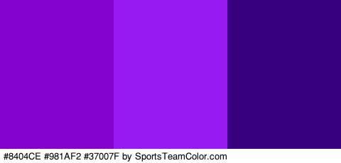 #8404CE #981AF2 #37007F Colors