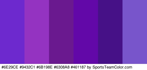 #6E29CE #9432C1 #6B198E #6308A8 #461187 #7955CC Colors