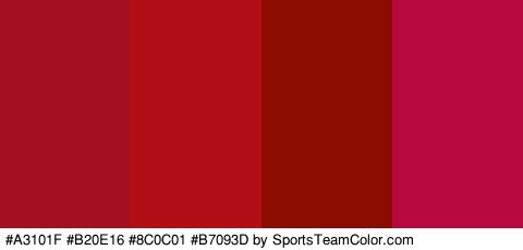 #A3101F #B20E16 #8C0C01 #B7093D Colors