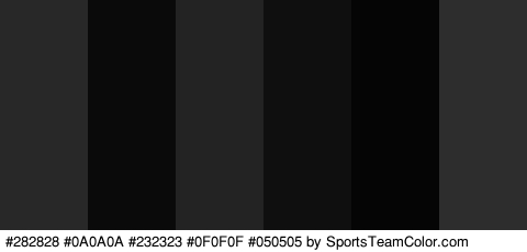 #282828 #0A0A0A #232323 #0F0F0F #050505 #2D2D2D Colors