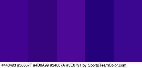 #440493 #36067F #4D0A99 #24007A #3E0791 Colors