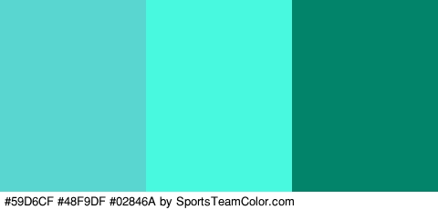 #59D6CF #48F9DF #02846A Colors