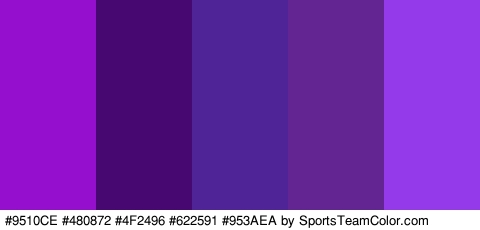 #9510CE #480872 #4F2496 #622591 #953AEA Colors