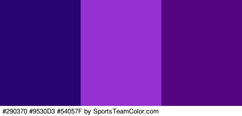 #290370 #9530D3 #54057F Colors