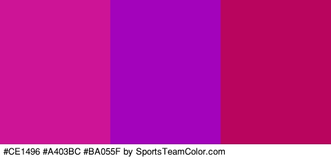 #CE1496 #A403BC #BA055F Colors