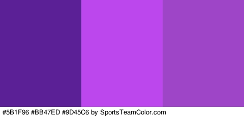 #5B1F96 #BB47ED #9D45C6 Colors