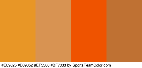 #E89625 #D89352 #EF5300 #BF7033 Colors