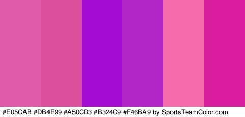 #E05CAB #DB4E99 #A50CD3 #B324C9 #F46BA9 #DB1E9F Colors