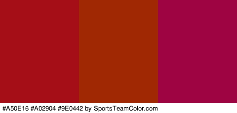 #A50E16 #A02904 #9E0442 Colors