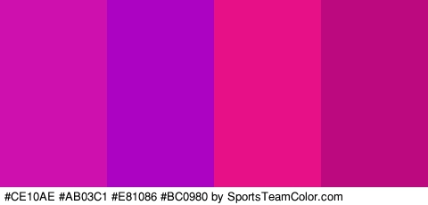 #CE10AE #AB03C1 #E81086 #BC0980 Colors