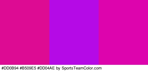 #DD0B94 #B509E5 #DD04AE Colors