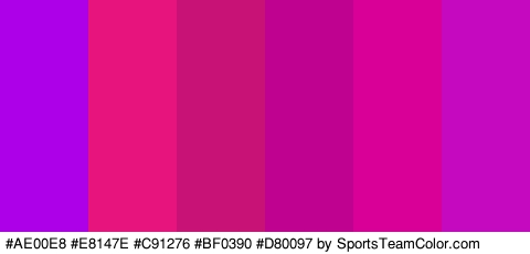 #AE00E8 #E8147E #C91276 #BF0390 #D80097 #C409BE Colors