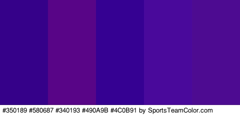 #350189 #580687 #340193 #490A9B #4C0B91 Colors