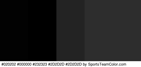 #020202 #000000 #232323 #2D2D2D #2D2D2D Colors