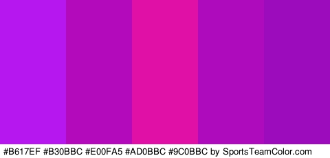 #B617EF #B30BBC #E00FA5 #AD0BBC #9C0BBC Colors