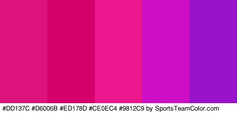 #DD137C #D6006B #ED178D #CE0EC4 #9812C9 Colors