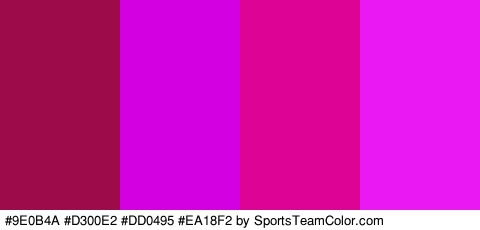 #9E0B4A #D300E2 #DD0495 #EA18F2 Colors