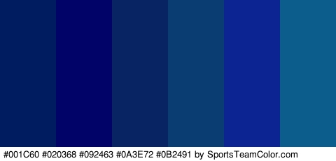 #001C60 #020368 #092463 #0A3E72 #0B2491 #0C5D8C Colors