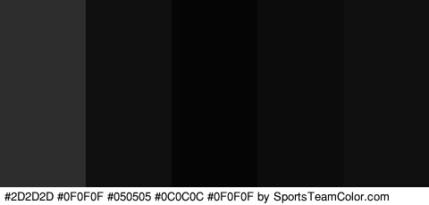 #2D2D2D #0F0F0F #050505 #0C0C0C #0F0F0F Colors