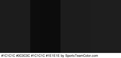 #1C1C1C #0C0C0C #1C1C1C #1E1E1E Colors