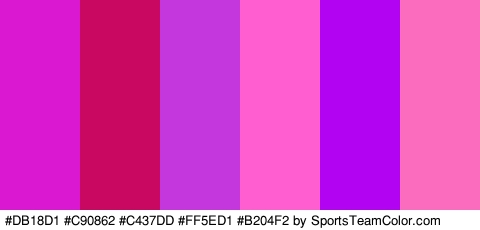 #DB18D1 #C90862 #C437DD #FF5ED1 #B204F2 #FC6CBE Colors