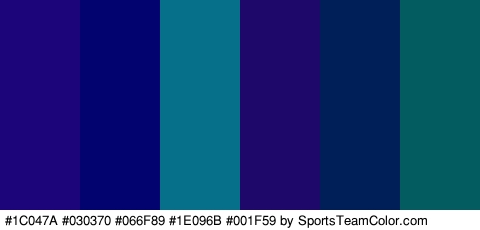 #1C047A #030370 #066F89 #1E096B #001F59 #035C60 Colors