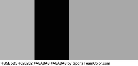 #B5B5B5 #020202 #A8A8A8 #A8A8A8 Colors