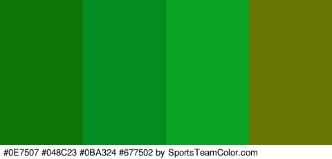 #0E7507 #048C23 #0BA324 #677502 Colors