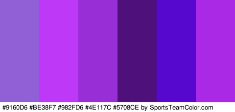 #9160D6 #BE38F7 #982FD6 #4E117C #5708CE #A929E5 Colors