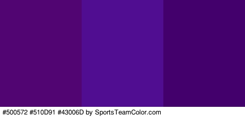 #500572 #510D91 #43006D Colors