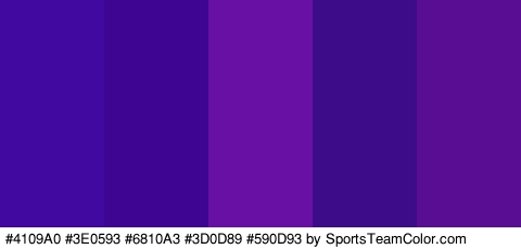 #4109A0 #3E0593 #6810A3 #3D0D89 #590D93 Colors