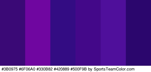 #3B0975 #6F06A0 #330B82 #420889 #500F9B #2A066D Colors