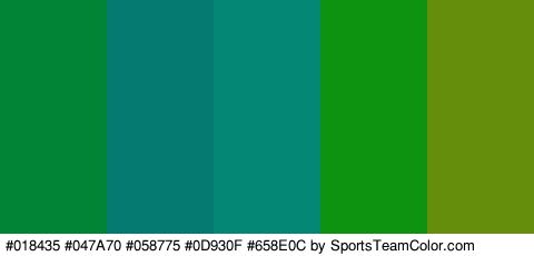 #018435 #047A70 #058775 #0D930F #658E0C Colors