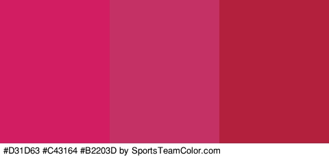 #D31D63 #C43164 #B2203D Colors