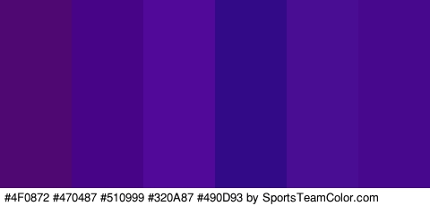 #4F0872 #470487 #510999 #320A87 #490D93 #47088E Colors