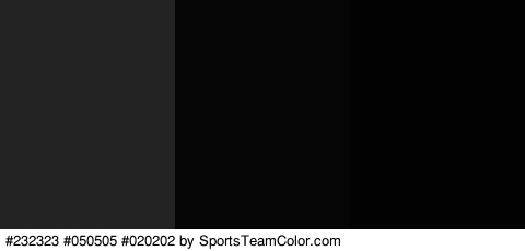 #232323 #050505 #020202 Colors