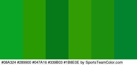 #08A324 #289900 #047A16 #339B03 #1B8E0E #01842D Colors