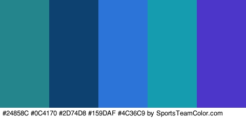 #24858C #0C4170 #2D74D8 #159DAF #4C36C9 Colors