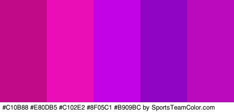 #C10B88 #E80DB5 #C102E2 #8F05C1 #B909BC Colors