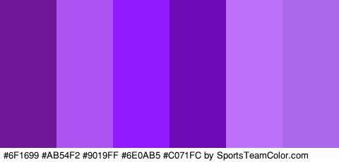 #6F1699 #AB54F2 #9019FF #6E0AB5 #C071FC #A868E8 Colors