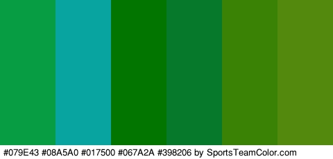 #079E43 #08A5A0 #017500 #067A2A #398206 #53890D Colors