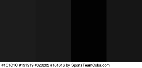 #1C1C1C #191919 #020202 #161616 Colors