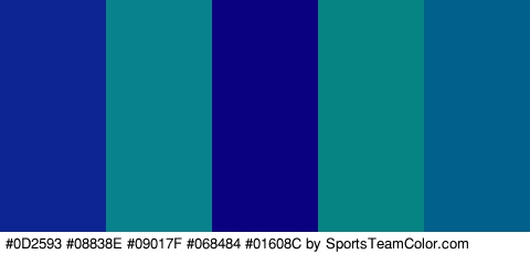 #0D2593 #08838E #09017F #068484 #01608C Colors