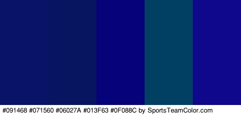 #091468 #071560 #06027A #013F63 #0F088C Colors