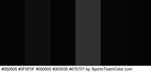 #050505 #0F0F0F #050505 #303030 #070707 #050505 Colors