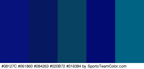 #08127C #061860 #084263 #020B72 #016384 Colors