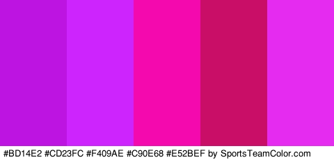 #BD14E2 #CD23FC #F409AE #C90E68 #E52BEF Colors